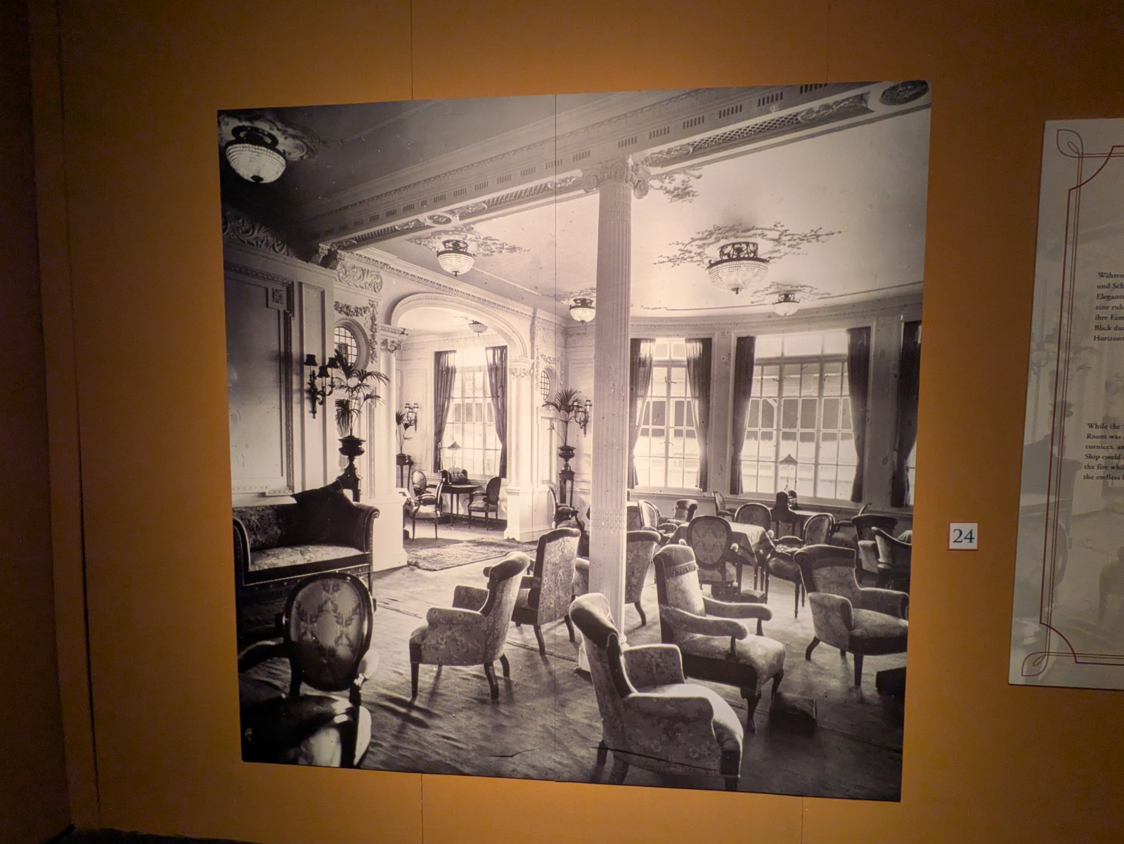 PXL 20241217 104848235